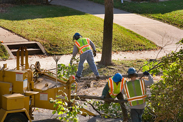 Lawn Irrigation Installation and Maintenance in Lindsay, OK